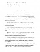 Documental: Catastroika.