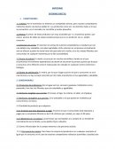 Investigación de mercados. INFORME