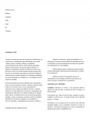 ELEMENTOS DE COMPETENCIA