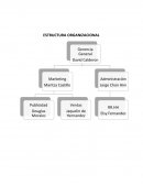 ESTRUCTURA ORGANIZACIONAL[pic 1] DESCRIPCION BÁSICA DE CARGOS Y FUNCIONES