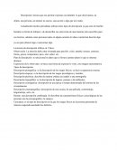 Descripción: técnica que nos permite expresar con detallen lo que observamos, un objeto, una persona, un animal, un suceso, una acción o algo que nos rodea