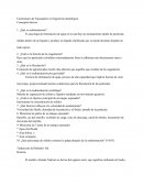 Cuestionario de Espesadores (Metalurgía) y Traducción Sal del Habashi