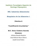 Determinacion de proteinas en la leche en polvo