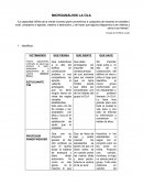 MICROANÁLISIS LA OLA