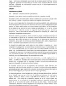 EL CONSTITUYENTE PERMANENTE.