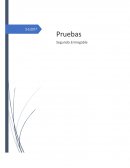 Prueba seguimiento escolar