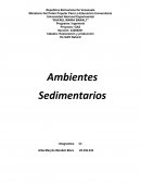 SEDIMENTACION Ambientes Sedimentarios