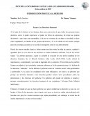 Ensayo Los Derechos Humanos