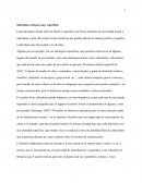 Subcultura urbana, muy específica