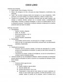 COCO LOKO Creación de la Empresa