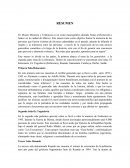 Memoria y Tolerancias