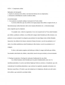 Indicadores de desempeño: Proyecto Transversal. Página 1