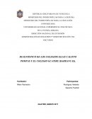 DIAGNOSTICO DE LOS COLEGIOS ELIAS CALIXTO POMPAS Y EL COLEGIO GUATIRE (BARRANCAS).