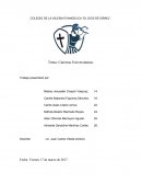 Carreras Universitarias . Alcances y limitaciones