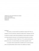 Trabajador clave en el funcionamiento de la empresa