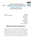 RESUMEN DEL SERVICIO COMUNITARIO 2017