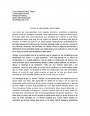 El circo, la vida salvaje y los animales