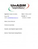 CALCULO DIFERENCIAL CON APLICACIONES A LA ECONOMÍA.