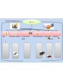 OBLIGACIONES DEL PATRONO