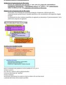 SEGMENTACIÓN Y POSICIONAMIENTO Definición de Segmentación de Mercados