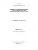 Introduccion a la asignatur