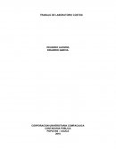 Costos Abc EMPRESA: PINTUPINTURAS