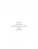 Proyecto final Diplomado Comercio Internacional