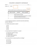 EVALUACION EL ESQUELETO Y LOS MUSCULOS (sin resp)