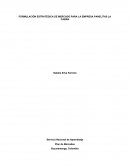 FORMULACIÓN ESTRATÉGICA DE MERCADO PARA LA EMPRESA PANELITAS LA CABRA