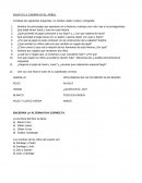 ENSAYO LA CABAÑA EN EL ARBOL