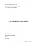 CONTAMINACION DEL SUELO.