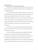 La amistad como experiencia compartida: Conocimientos, experiencias y medios