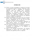 Lipidos y proteinas. Reconocimiento