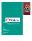 El proceso productivo de la planta manufacturera Ávalon S.A.C