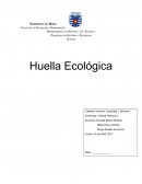 Huella ecológica ¿Qué es la huella ecológica?