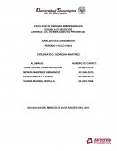 Marketing relacional. Analisis del consumidor