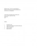 ENSAYO PATRIMONIO - marcelino perez de arroyo