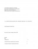 La Constitucionalización del Derecho Procesal en Venezuela
