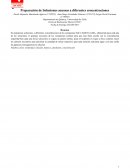 Preparación de Soluciones acuosas a diferentes concentraciones