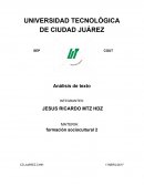 Analisis de texto " etica profesional"