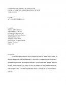 Actividad integradora de quimica. Investigación de tres elementos en especial : bromo, azufre y uranio