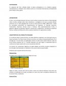 Agronegocios: características del producto, consumo