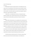 Ensayo ONG Fundación Daya