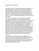 Sociologia. La organización como sistema