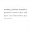 INTERNET; RIESGOS Y CONSECUENCIAS DE UN USO INADECUADO