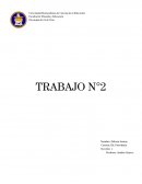 Analisis de persona basico