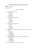 CUESTIONARIOS PARA CLASES DE LENGUA Y LITERATURA