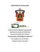 Evaluación Microbiológica de los Alimentos I “Contaminación microbiológica de alimentos”