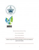 Análisis integral del suelo muestreado en el Cerro de Amalucan (parte intermedia)