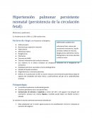 Hipertensión pulmonar persistente neonatal (persistencia de la circulación fetal):